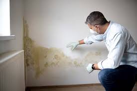 Why You Should Choose Our Mold Remediation Services in Baker, MT